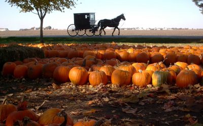 Illinois Autumn Attractions are a Sight to Behold