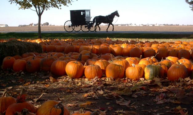 Illinois’ Autumn Attractions are a Sight to Behold