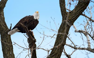 Promoting Tour Destination: Location is Everything