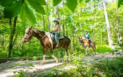 Explore History, Heritage and Hiking in Southern Illinois