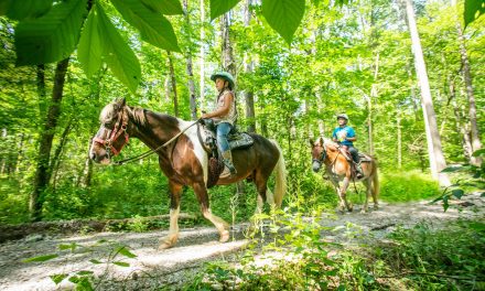 Exploring Southern Illinois’ History, Heritage and Hiking