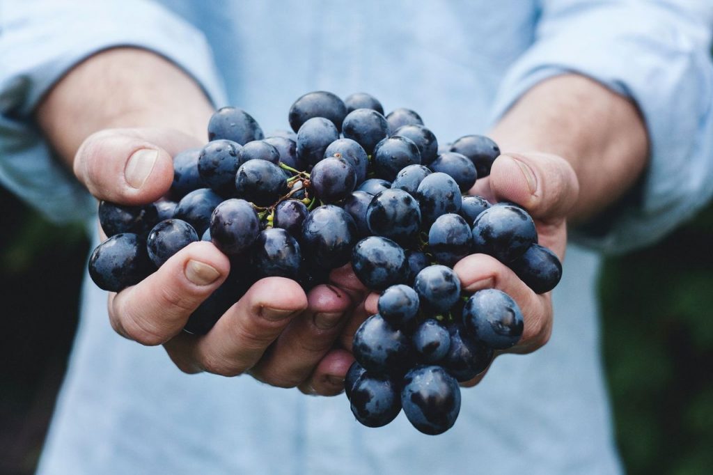 In Bordeaux, France, groups can visit famous wineries and get their hands dirty while crushing grapes and making wine. Photo courtesy of Maja Petric