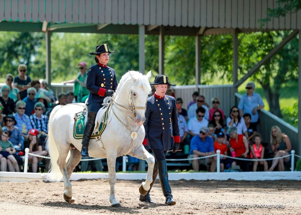 Each Tempel Lippizans performance, to music, is a study in classical horsemanship as the horse and rider display impressive athleticism. Photo courtesy of Enjoy Illinois