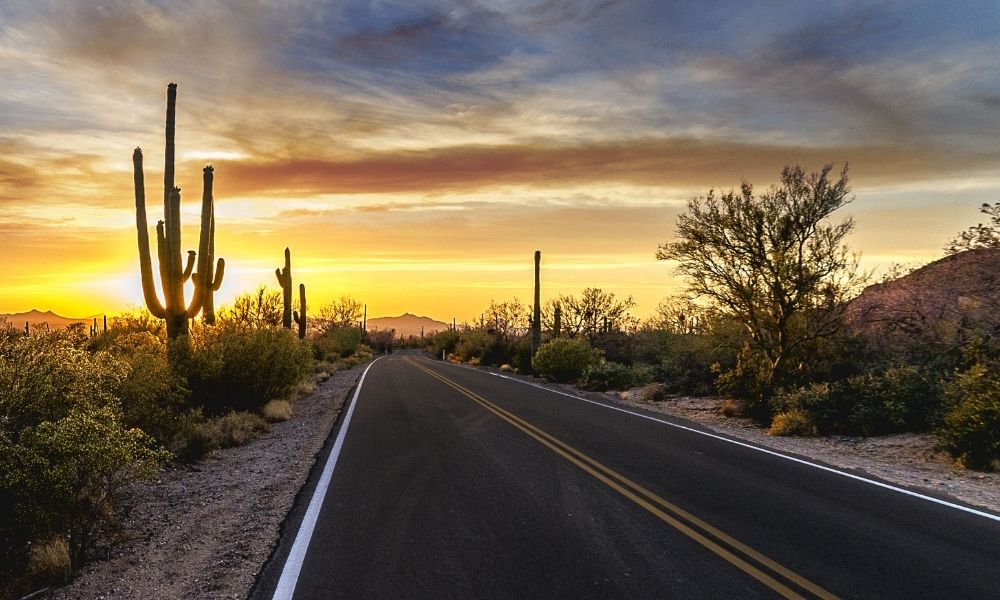5 Reasons Why You Should Visit Arizona Before Summer