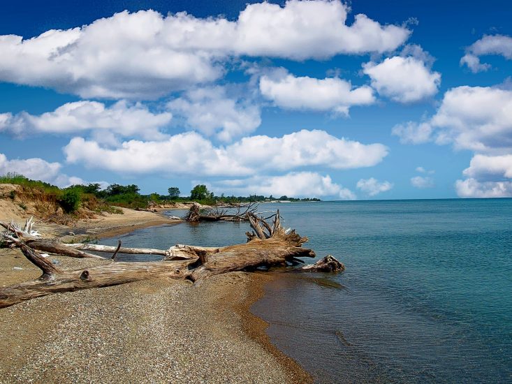 There are few more beautiful and serene locations in Illinois than Illinois Beach State Park.