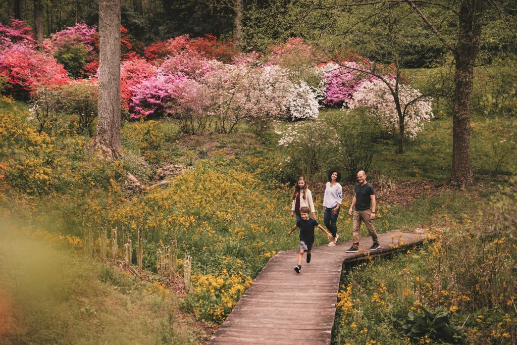 Azalea Garden Path. (Photo credit: Biltmore Estate)