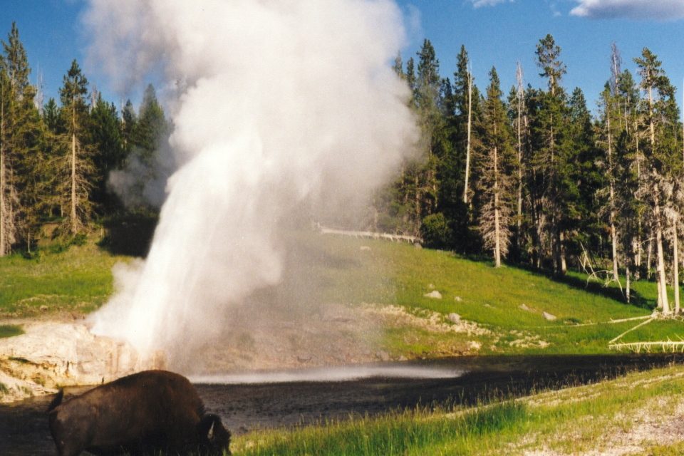 Yellowstone Closes after ‘Unprecedented’ Rain Washes out Roads