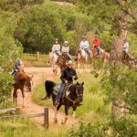 Giddy Up with Colorado’s Rich Cowboy Culture