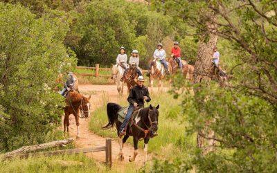 Giddy Up with Colorado’s Rich Cowboy Culture
