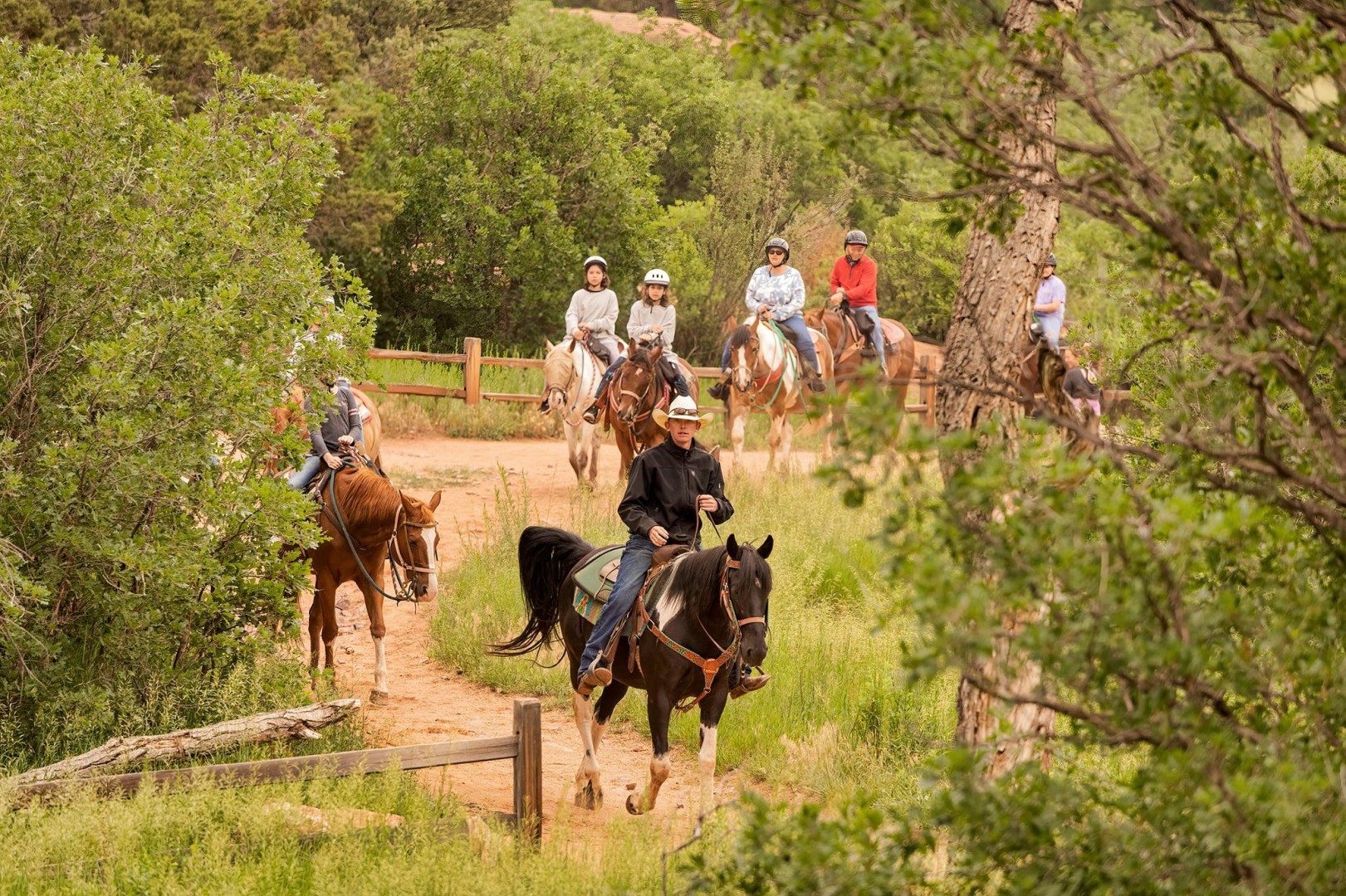 Academy Riding Stables Colorado Springs
