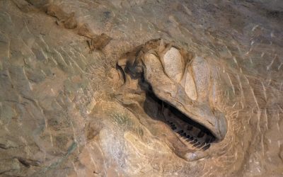 Discover Northwest Colorado’s Ancient Dinosaurs