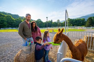Winchester Creek Farm is a 20-acre family owned and operated farm featuring alpacas and miniature farm animals.
