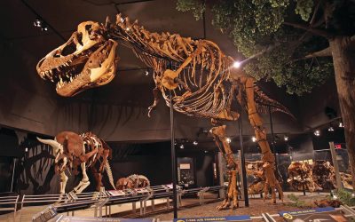 Gigantic Prehistoric Discoveries Along the Montana Dinosaur Trail