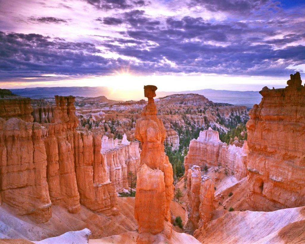 Bryce Canyon is a superior spot for outdoor excursions, night sky viewings, and wildlife sightings. Credit: National Park Service