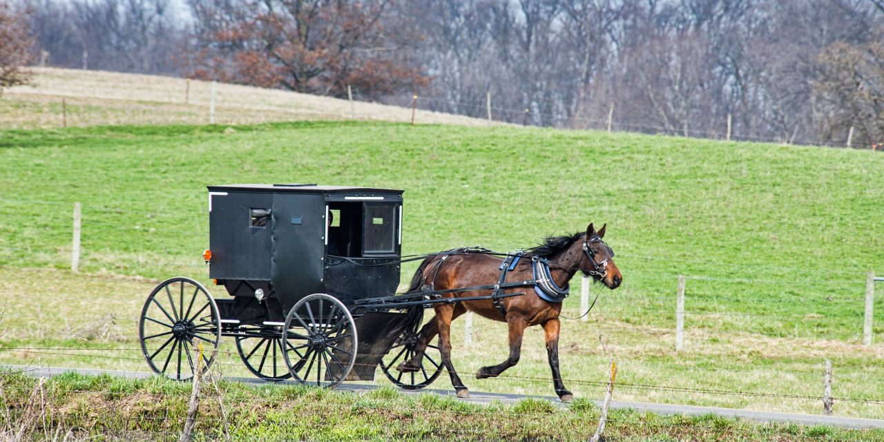 Indiana Amish Country: Beards, Bonnets and Buggies