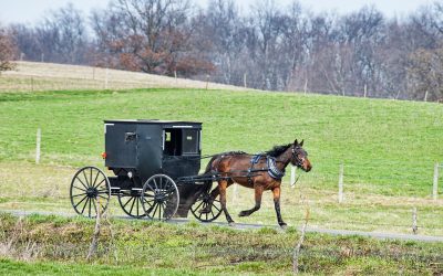 Indiana Amish Country: Beards, Bonnets and Buggies