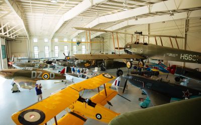 Are You Ready for the Smerfs?