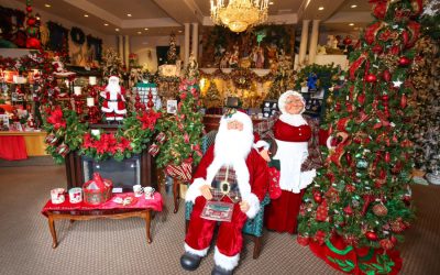 5 Great Ideas For End of Year Holiday Trips