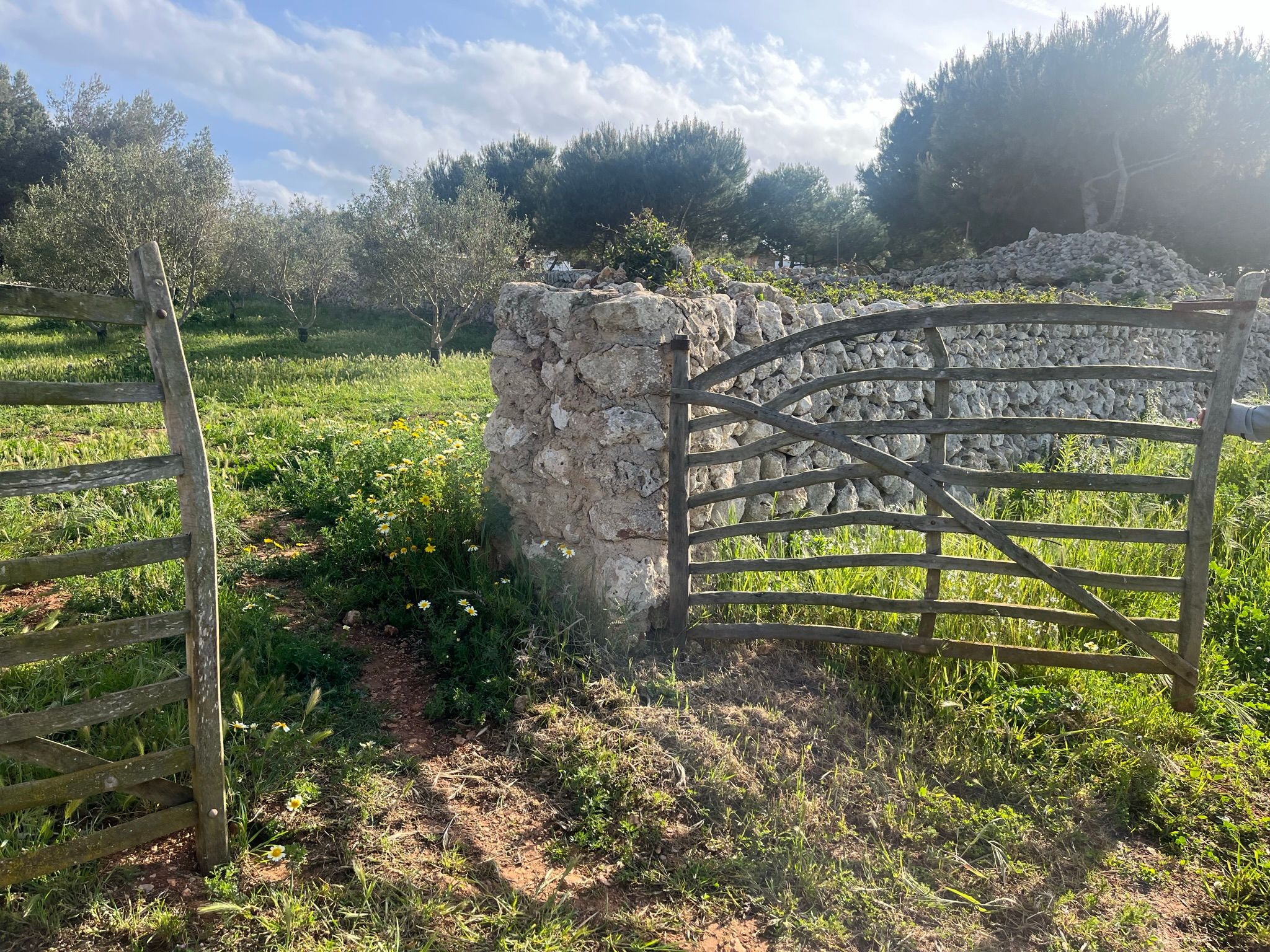 Stone walls and gates made from olive wood characterize the Menorcan countryside.