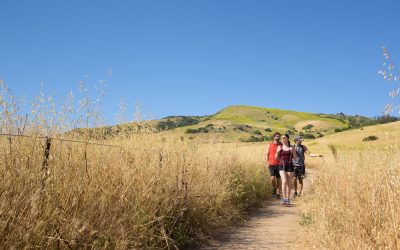 Why Irvine, California is a Favorite with International Travelers