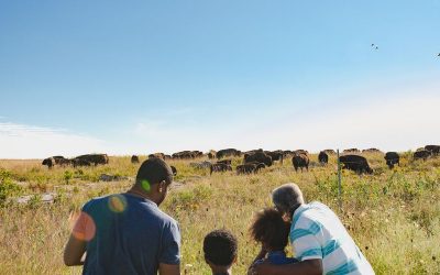 Blending History and American Icons in Southern Minnesota