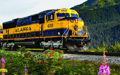 Alaska Railroad for Travel Groups