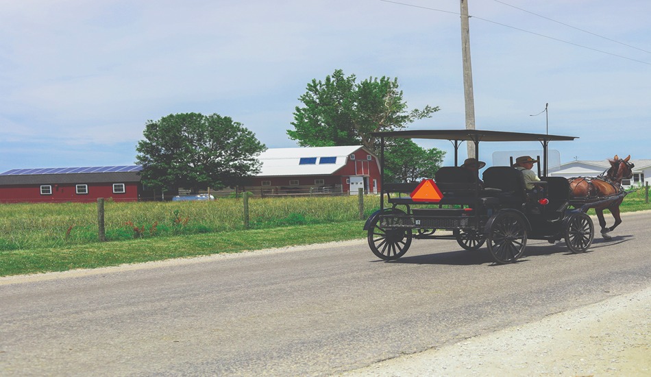 Just south of Champaign-Urbana is Illinois’ largest Amish settlement, with many shops, woodworkers, quilters, and homemade meals to enjoy.
