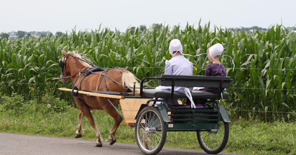 Amish girls