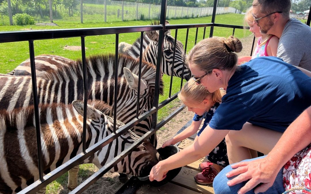 Amish Farms & Country Roads of Shipshewana