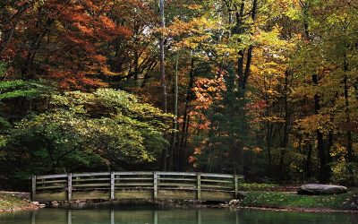 Virginia Botanical Gardens Abloom for Tour Groups