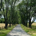 Experience History, Food & Wine in Charlottesville & Albemarle County Itinerary