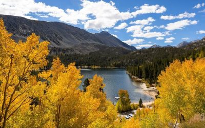 Flaming Colors Brighten Mammoth Lakes’ Fall Season