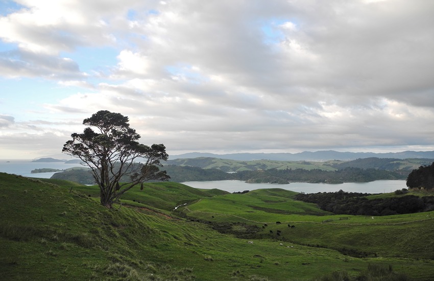 Coromandel Peninsula in New Zealand_ Photo cred. BMR & MAM