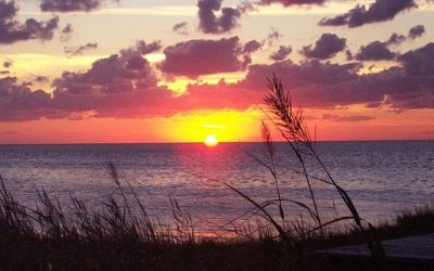 It’s Been an Awesome Journey in the Tourism Industry