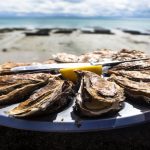 North Carolina Oyster Trails offer Unforgettable Experiences