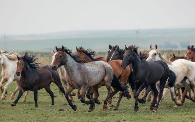 Wyoming’s Wind River Country