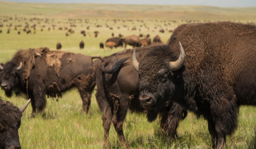 Campbell County, Wyoming