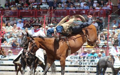 Wyoming Group Trip Ideas