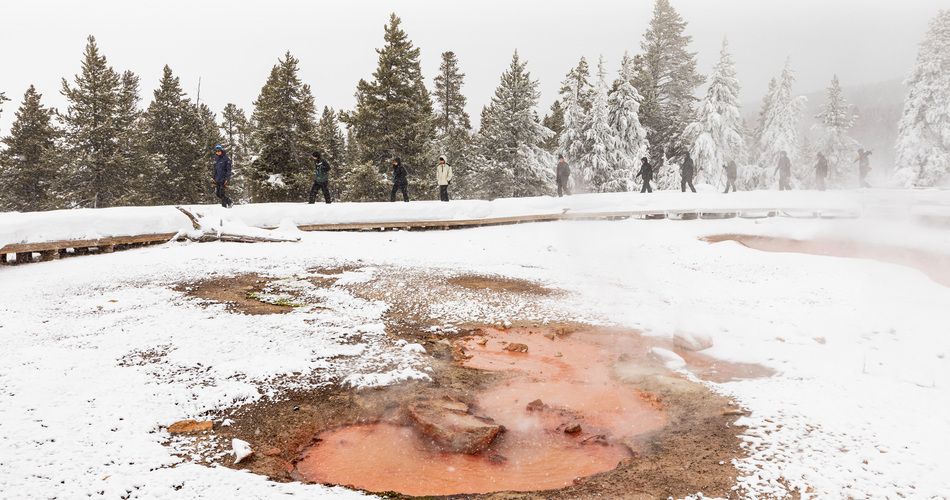 Thermal pools in Yellowstone