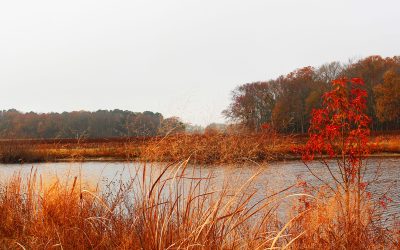 Maryland’s Shrines to Black History and Culture