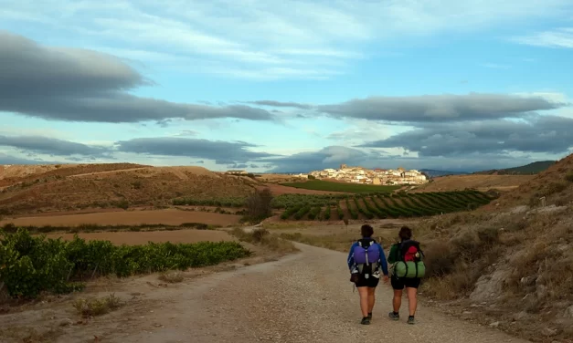 Camino de Santiago on a Guided Group Tour