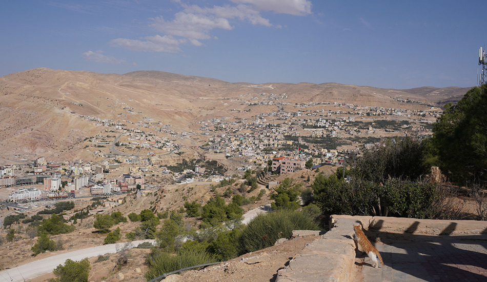 Cats keep picnickers company at the hilltop park overlooking the town of Wadi Musa, where hotels in various price ranges house tourists visiting the Petra archaeological site. The Goway group stayed at Petra Guesthouse. (Photo credit: Goway Travel/Aren Bergstrom)