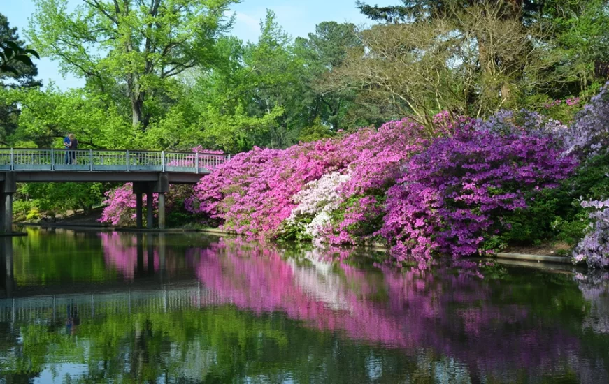 Botanical Garden in Virginia