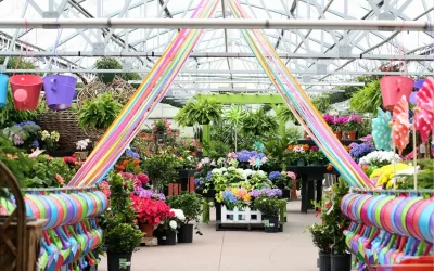 Janesville Adventure: From Botanical Beauty to Murder Mystery Dinner