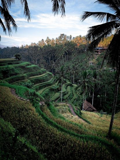 Ubud, Indonesia