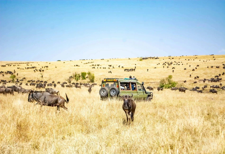 Explore Kenya as a Group with Goway