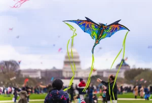 Kite Festival - National Cherry Blossom Festival 