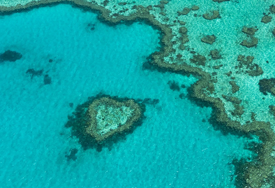 The Great Barrier Reef