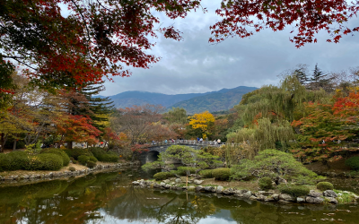 Autumn Leaves Lend a Colorful Punch to Asia Itineraries