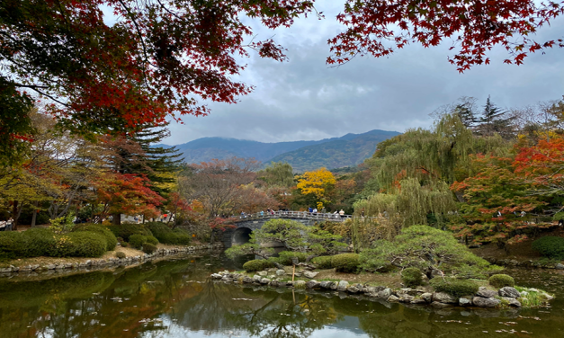 Autumn Leaves Lend a Colorful Punch to Asia Itineraries